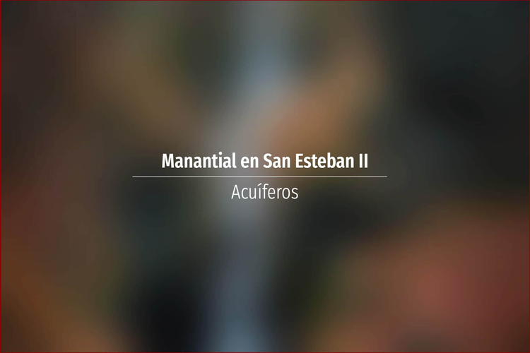 Manantial en San Esteban II