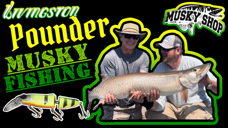 Livingston Pounder Musky Fishing