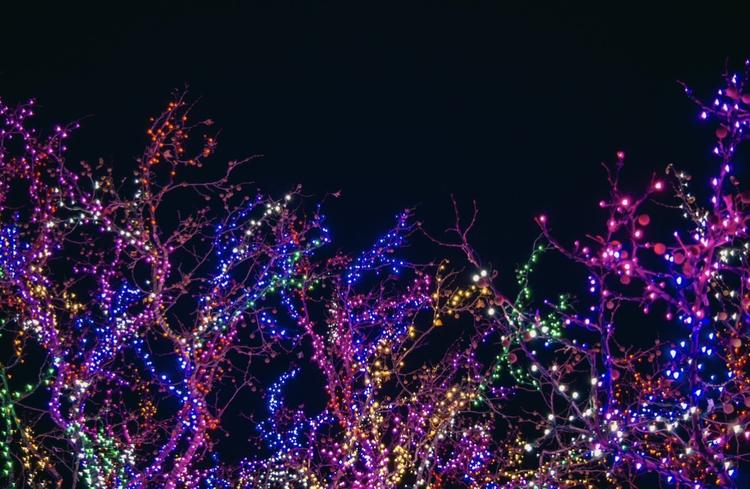 Where to Find Christmas Lights…