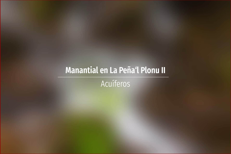 Manantial en La Peña‘l Plonu II