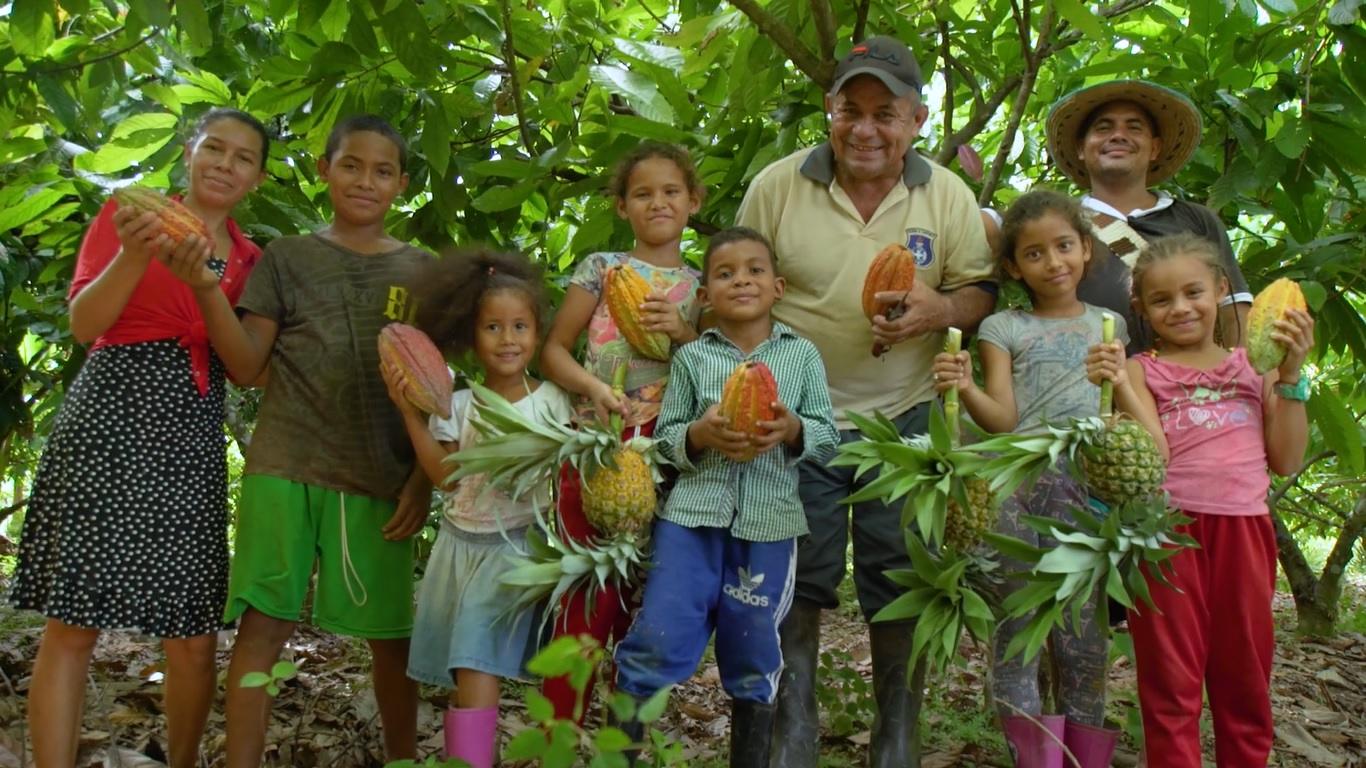 Encuesta de caracterización productores de cacao en Colombia
