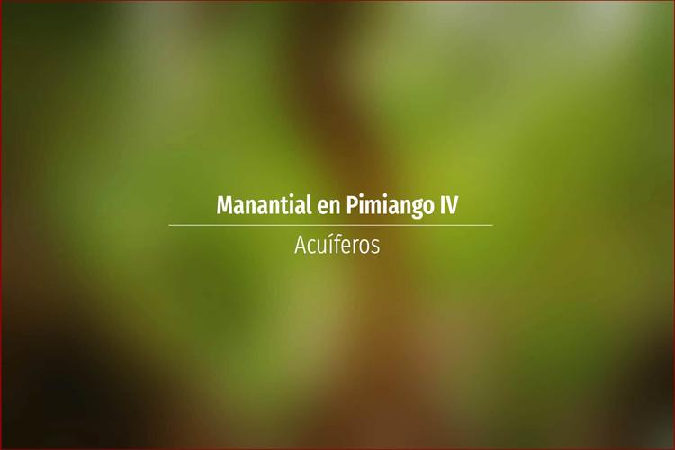 Manantial en Pimiango IV