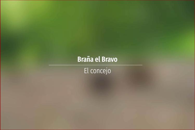 Braña el Bravo