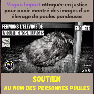 Vegan Impact attaquée en justice