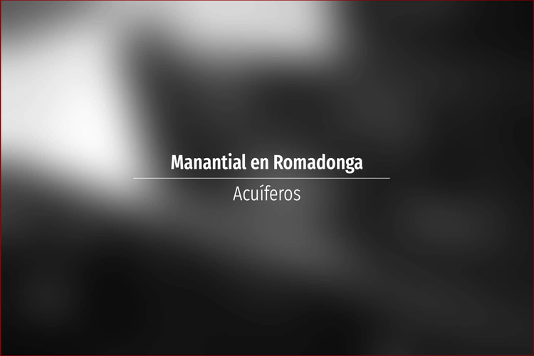 Manantial en Romadonga