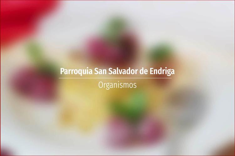 Parroquia San Salvador de Endriga
