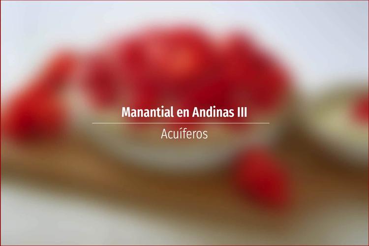 Manantial en Andinas III