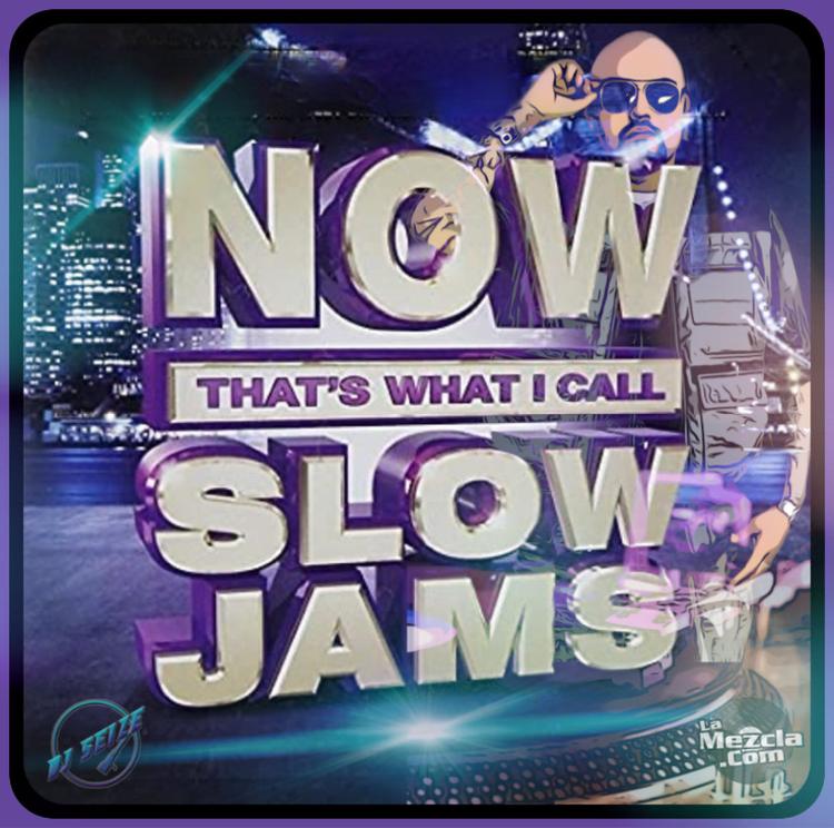 DJ Seize - Now That's What I Call Slow Jams Vol. 1