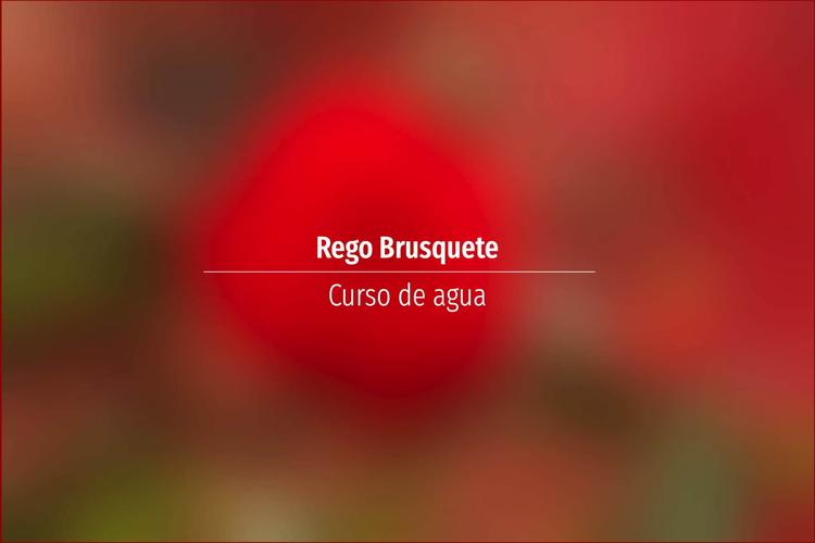 Rego Brusquete