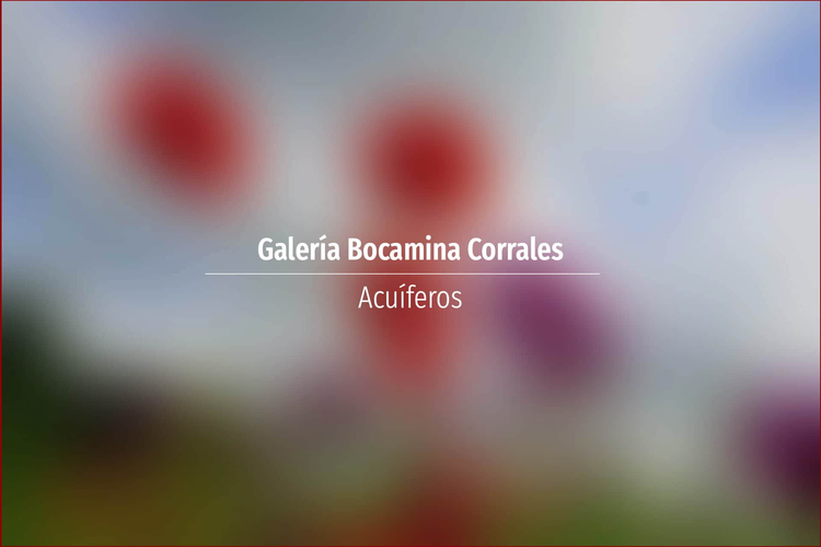 Galería Bocamina Corrales