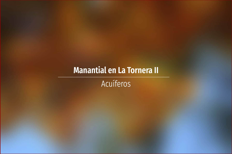 Manantial en La Tornera II