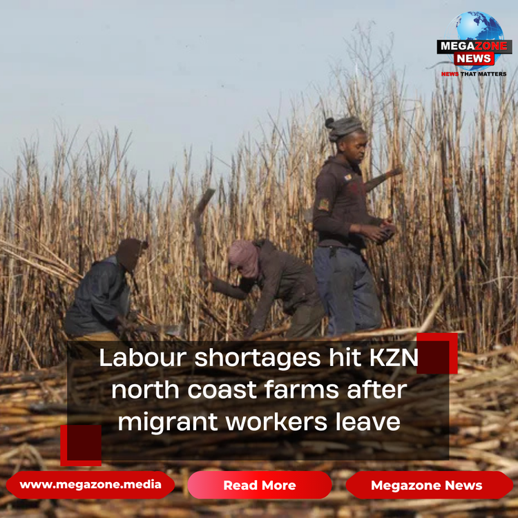 Labour shortages hit KZN north coast farms after migrant workers leave
