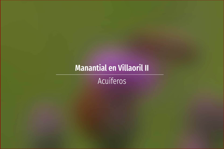 Manantial en Villaoril II