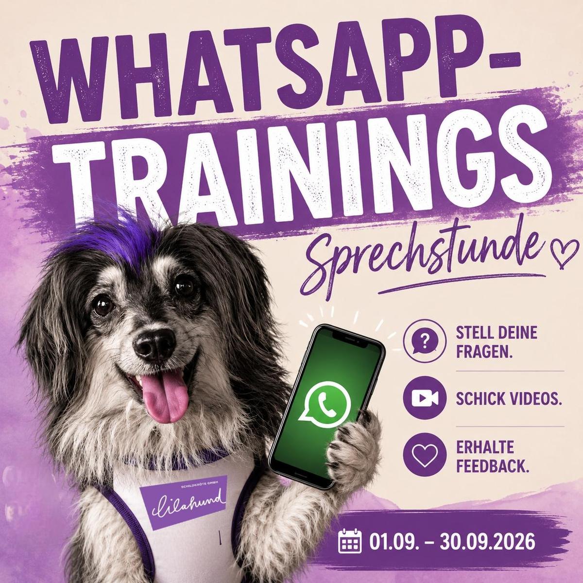 NEU! Trainingssprechstunde NEU