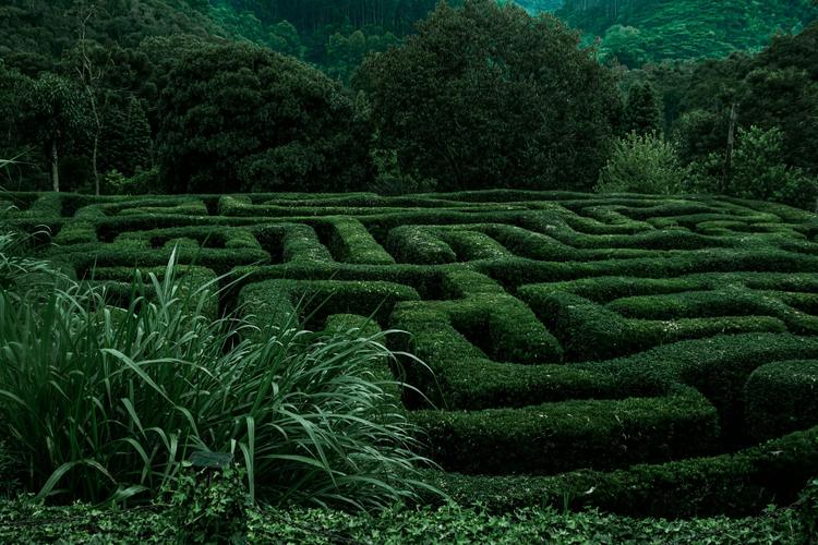 4: o labirinto da rainha de copas