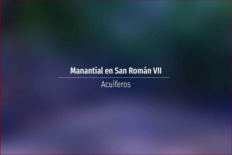 Manantial en San Román VII