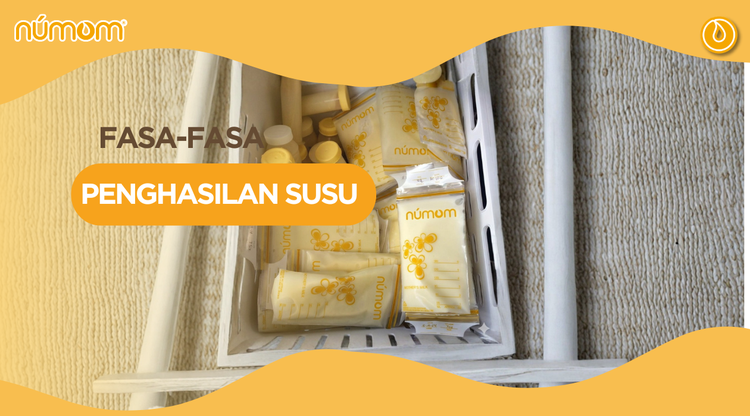FASA-FASA PENGHASILAN SUSU
