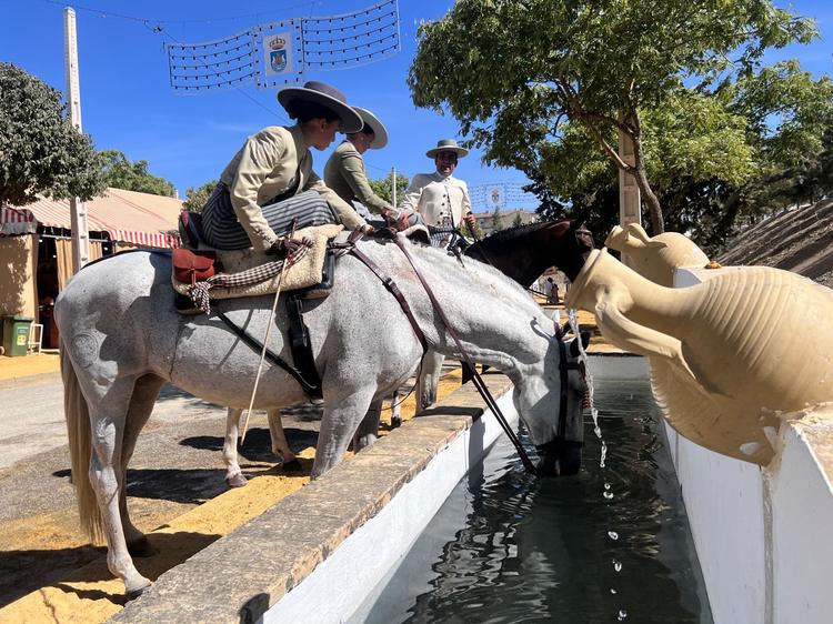Más de 270 caballos y enganches pasearán por el recinto ferial durante la Feria 