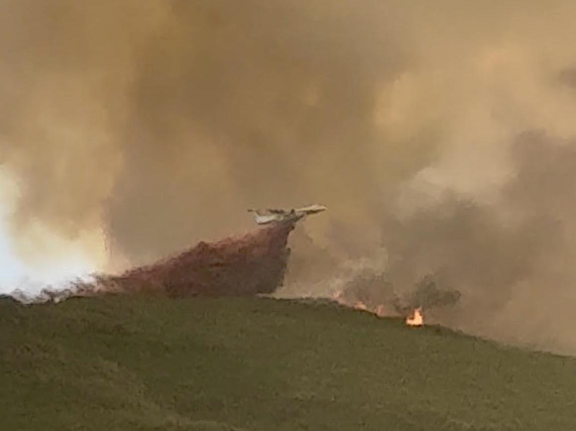 Cagnanu - Le feu fixé après avoir parcouru 109 hectares