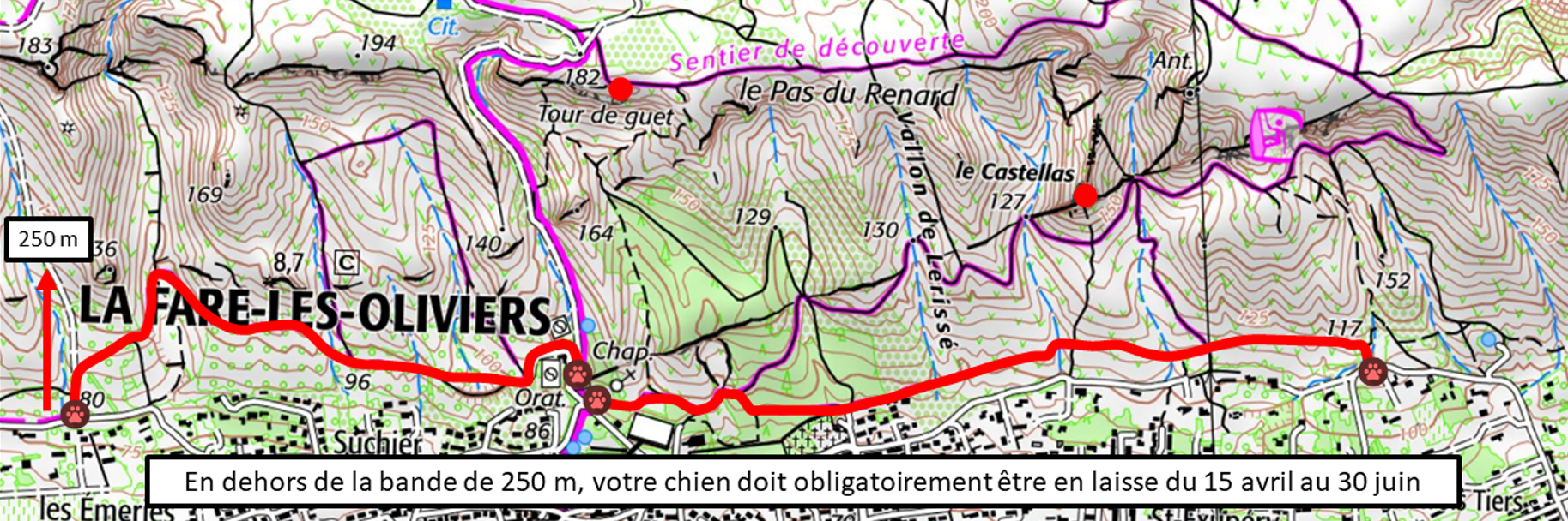 Chiens en colline : du 15 avril au 30 juin, gardez-les attachés !
