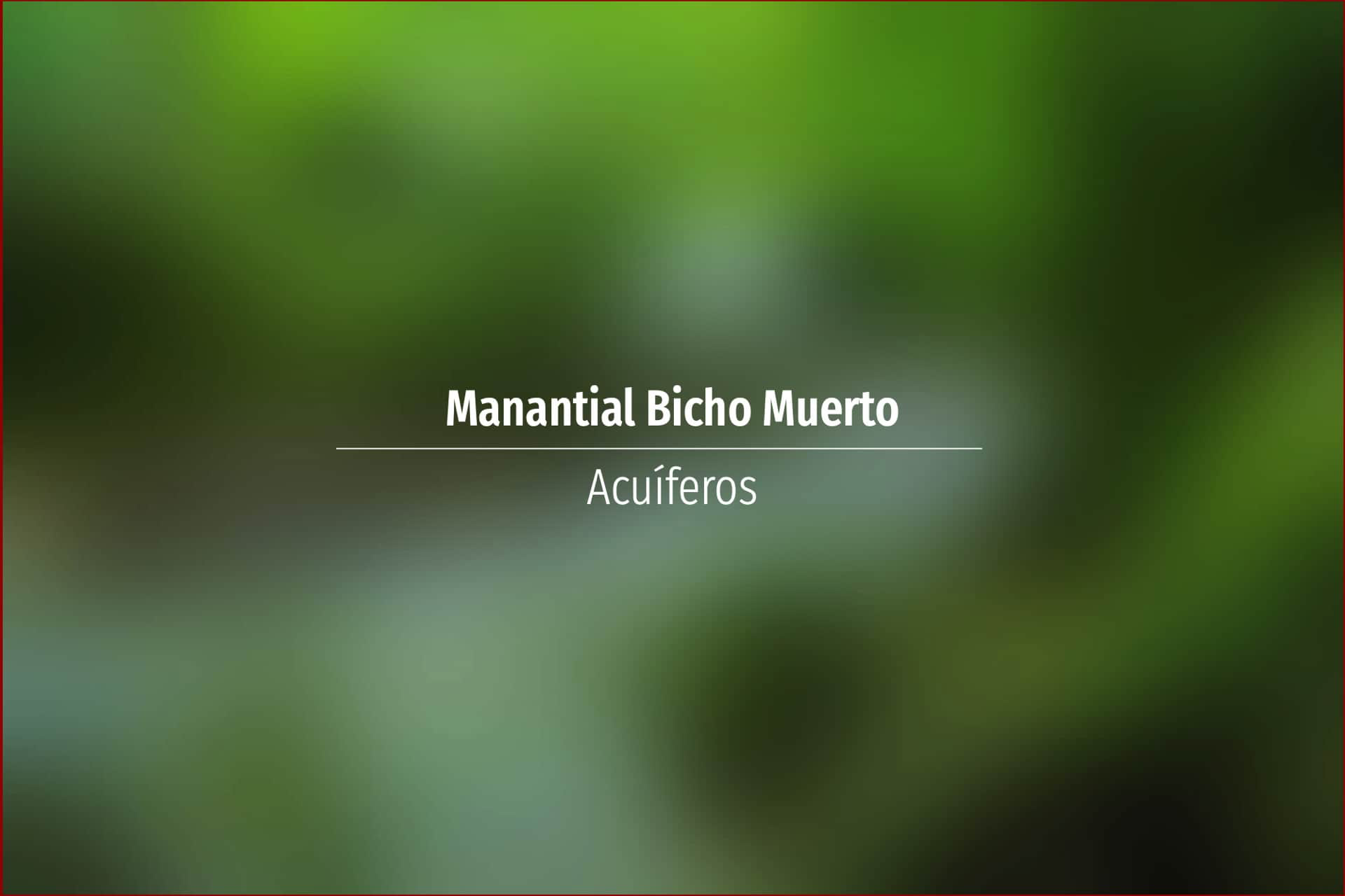 Manantial Bicho Muerto