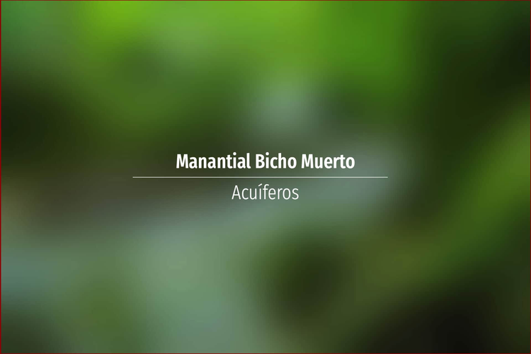 Manantial Bicho Muerto