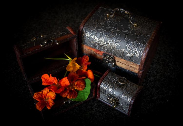 Hidden  Treasures Revealed:Proverbs 2:1-5 