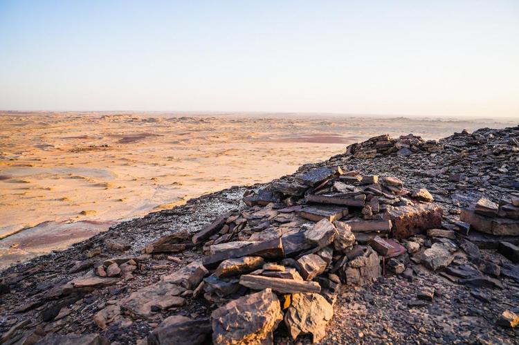 Seal tooth pendant reveals prehistoric trade routes
