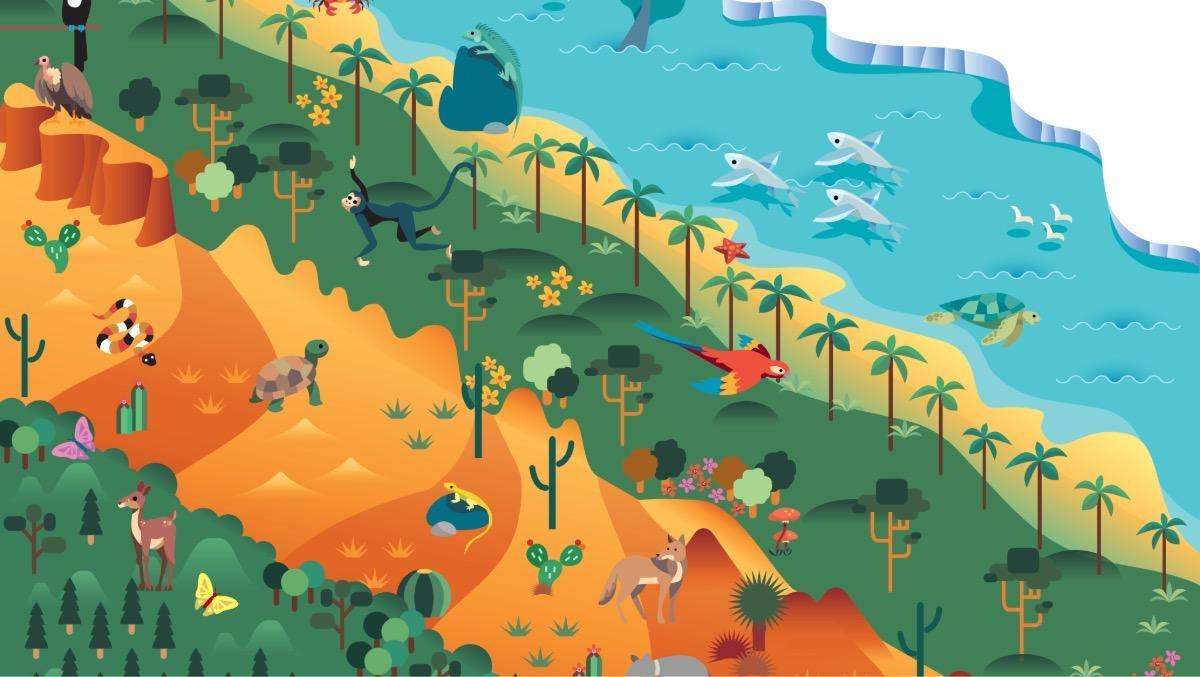 Una crisis silenciosa: Especies al borde de la extinción