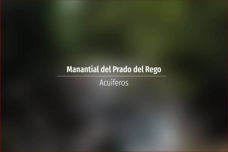 Manantial del Prado del Rego