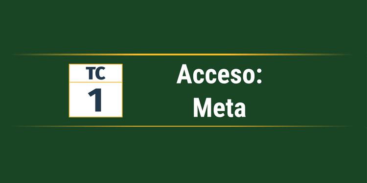 TC 1 | Meta | Nueva Labra 1