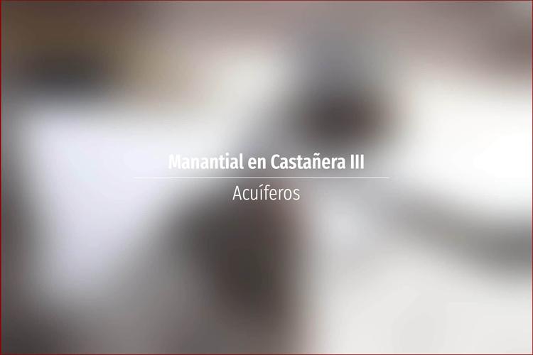 Manantial en Castañera III