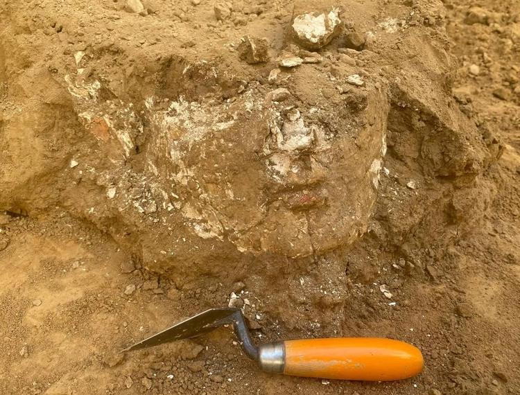 Head of plaster sculpture found among Kurgantepa temple ruins