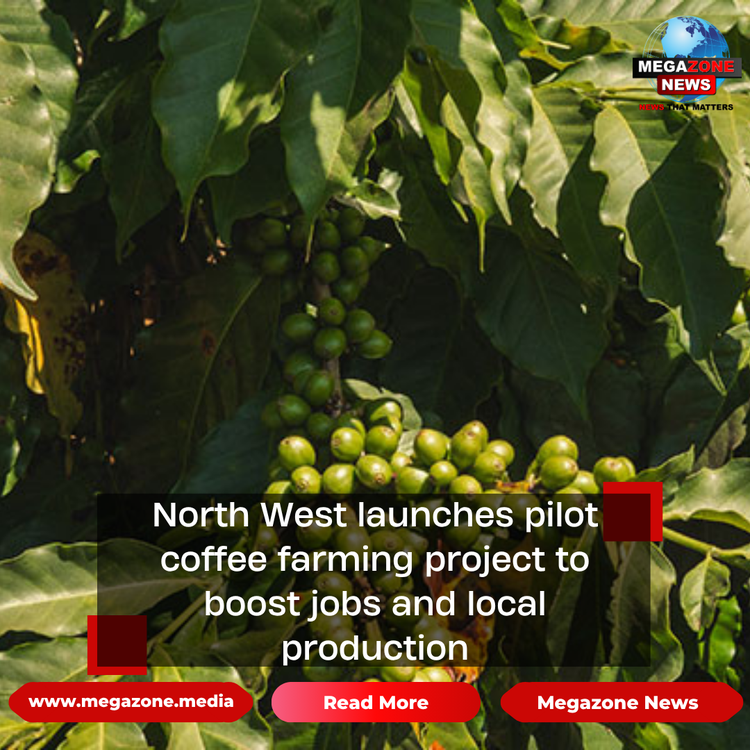 North West launches pilot coffee farming project to boost jobs and local production