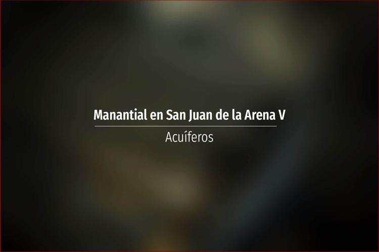 Manantial en San Juan de la Arena V