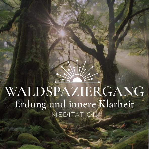 Waldspaziergang - Meditation