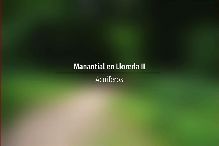 Manantial en Lloreda II