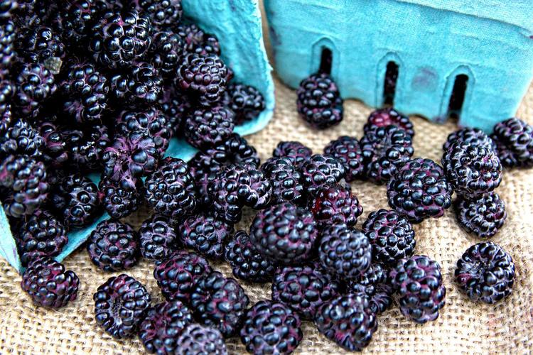 Blackberries