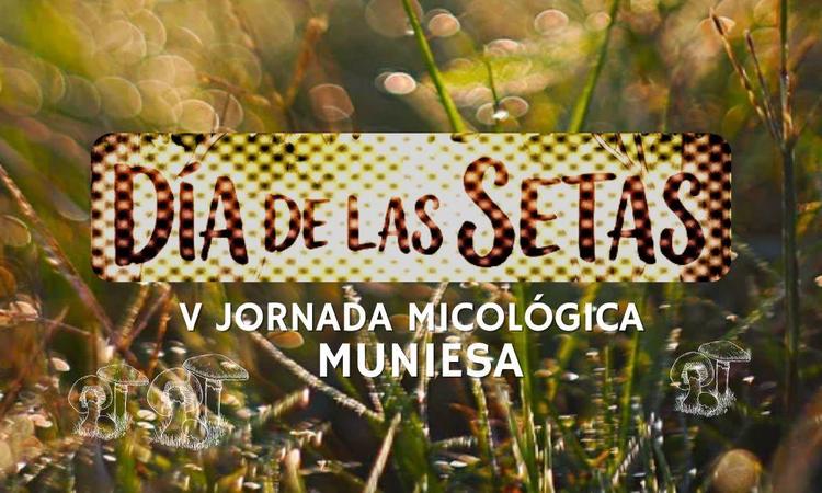 MUNIESA. JORNADA DE LAS SETAS 2026