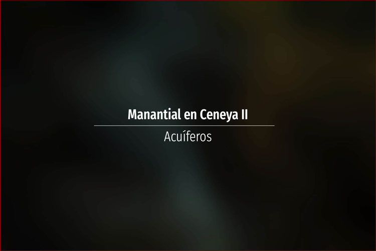 Manantial en Ceneya II