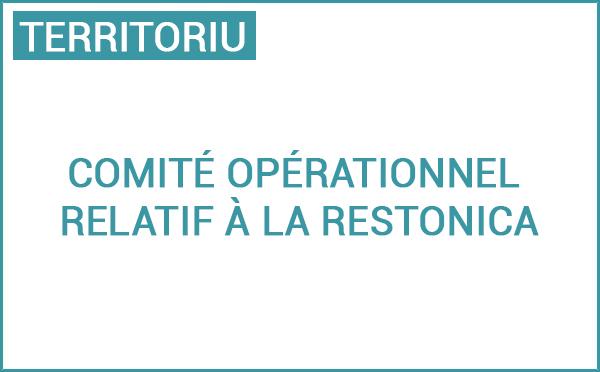 3ème réunion du Comité opérationnel relatif à la Restonica : présentation des nouveaux dispositifs pour la période estivale 2024