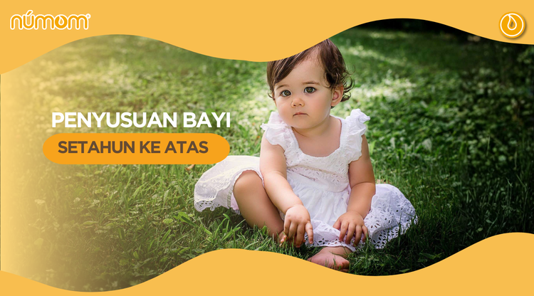 PENYUSUAN BAYI SETAHUN KE ATAS