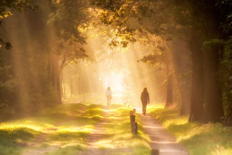 The Joy Of  Walking In God’s Light:Psalm 89:15 