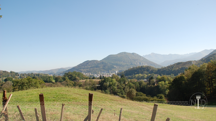 In schwierigen Zeiten & in Gugging... 