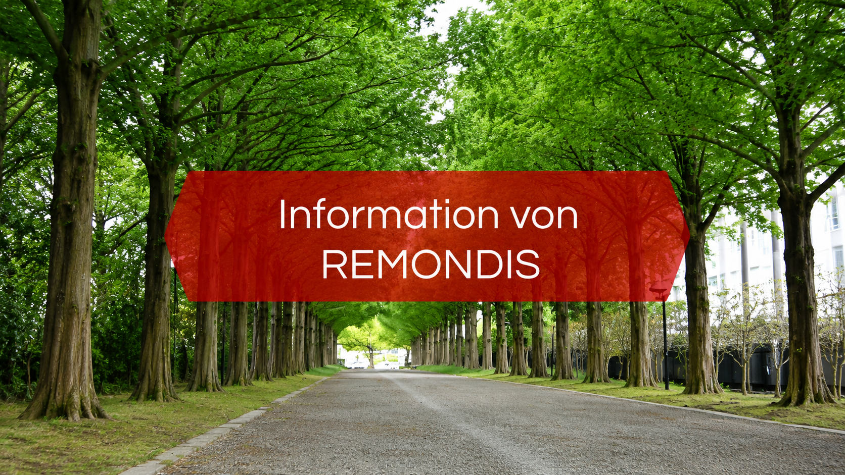 Information des Abfallentsorgers REMONDIS: