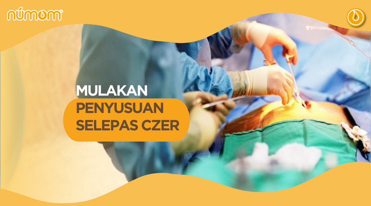 MULAKAN PENYUSUAN SELEPAS CZER