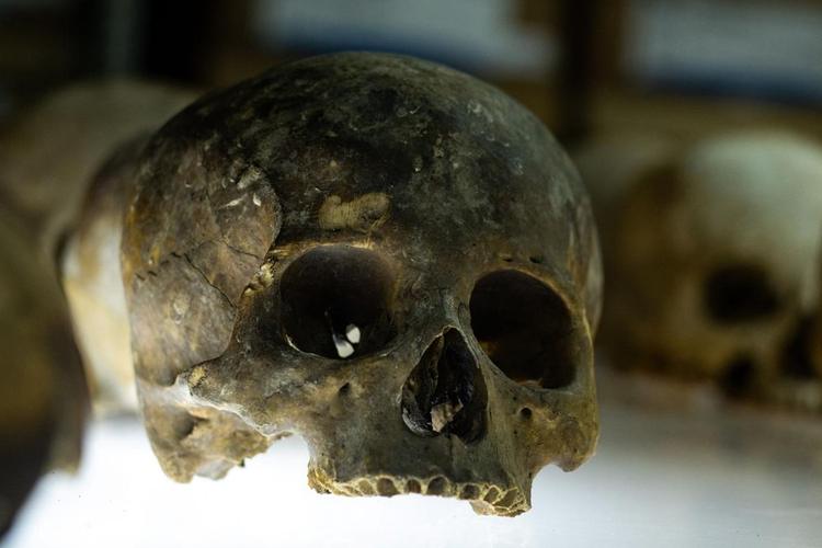 Tzompantli skull rack reveals unexpected female majority and mysterious rituals