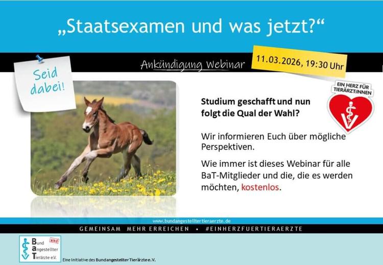 Webinar "Staatsexamen und was jetzt?" des Bunds angestellter Tierärzte e.V. 