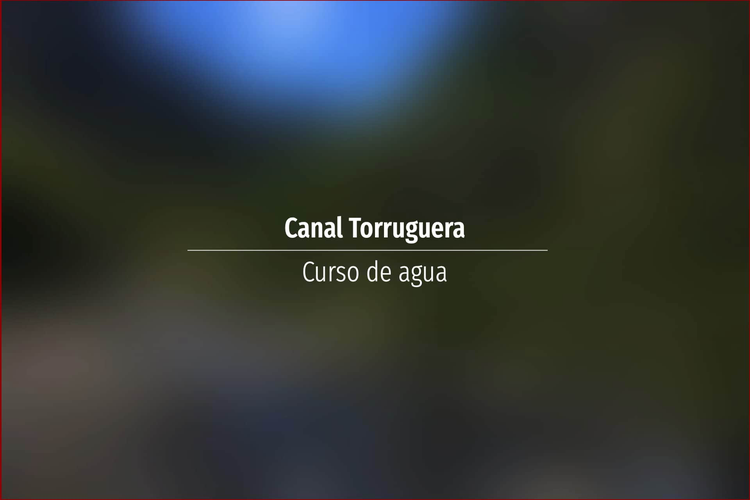 Canal Torruguera