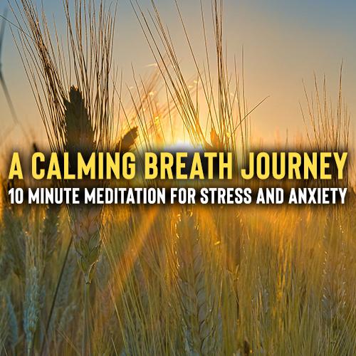 Breathing Meditation: Finding Calm Within